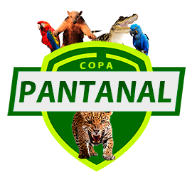 Copa Pantanal